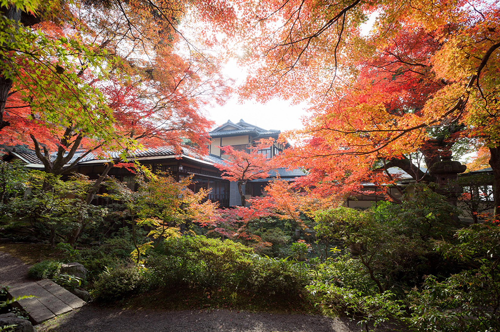 晩秋の京都を望む老舗料亭「京大和」での古都ウェディング